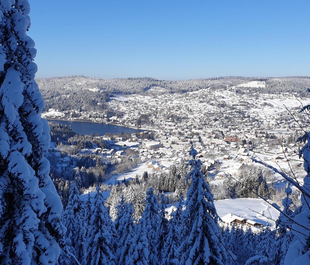 Apartement Sur Les Hauteurs De Gerardmer Avec Une Superbe Vue Kültér fotó
