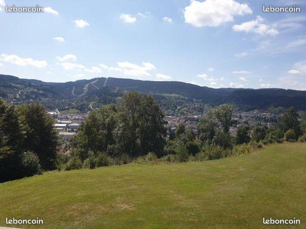 Apartement Sur Les Hauteurs De Gerardmer Avec Une Superbe Vue Kültér fotó
