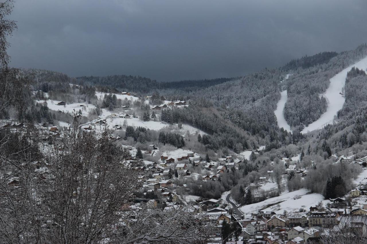 Apartement Sur Les Hauteurs De Gerardmer Avec Une Superbe Vue Kültér fotó